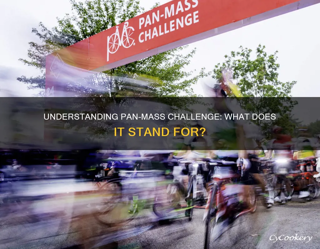 what does pan mass stand for