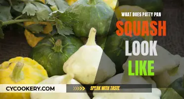 The Unique Appearance of Patty Pan Squash Explained