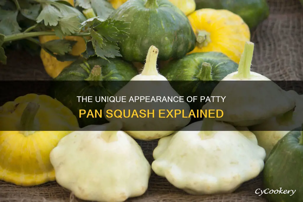 what does patty pan squash look like