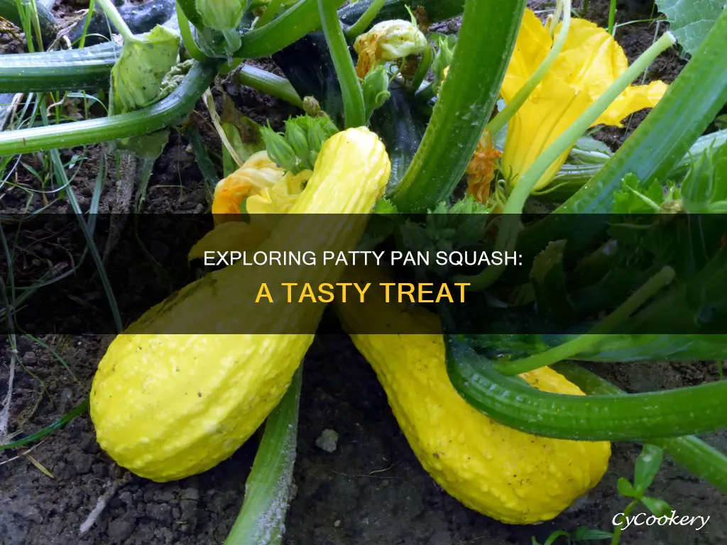 what does patty pan squash taste like