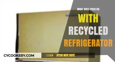How PECO Recycles Old Fridges: Sustainable Disposal and Resource Recovery