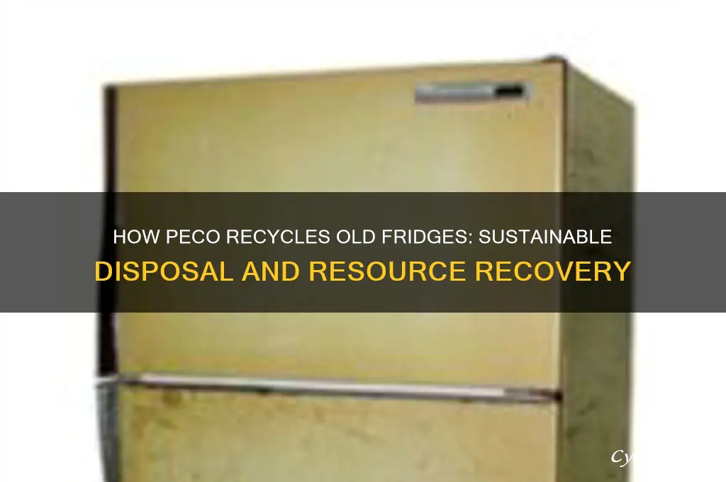 what does peco do with recycled refrigerators