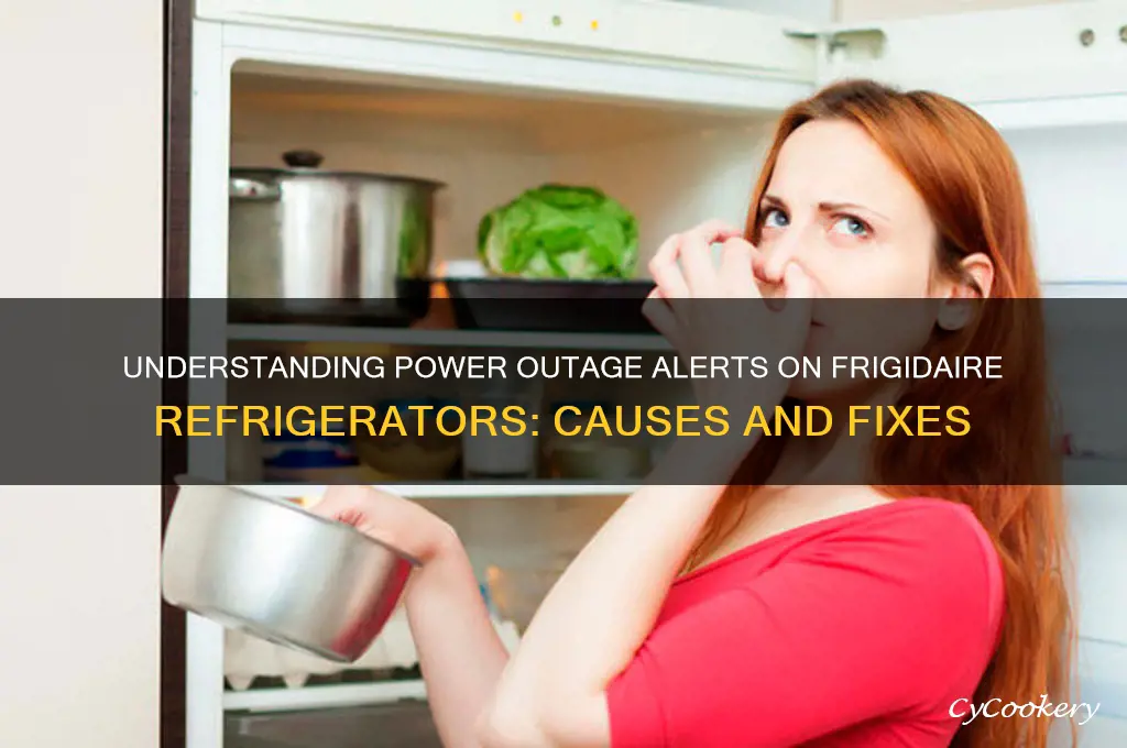 what does power outage mean on a frigidaire refrigerator