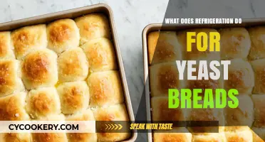 How Refrigeration Enhances Yeast Breads: Texture, Flavor, and Rise Explained