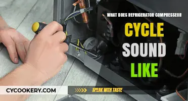 Understanding the Normal Sounds of a Refrigerator Compressor Cycle