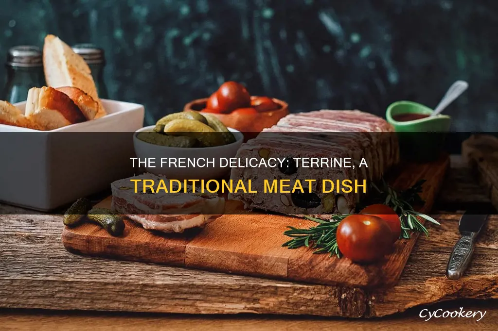 what does terrine mean in france