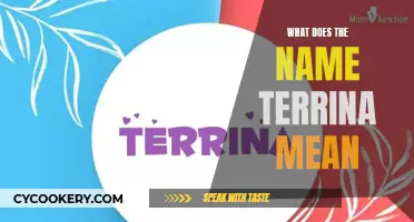 The Meaning and Origin of the Name Terrina