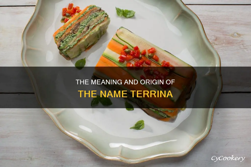 what does the name terrina mean