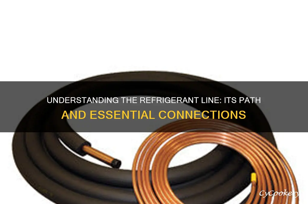 what does the refrigerant line run to