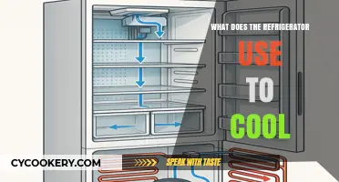 How Refrigerators Work: The Science Behind Cooling Your Food