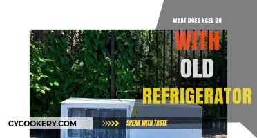 Xcel's Eco-Friendly Approach: Recycling Old Refrigerators Responsibly