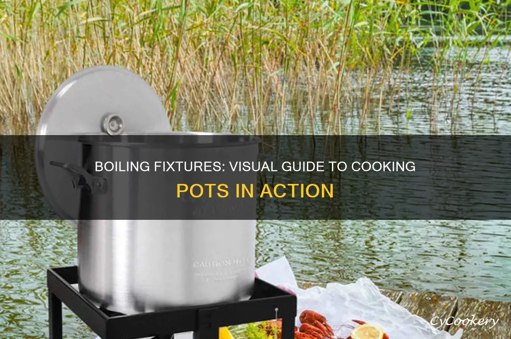what dose a cooking pot with boiling fixtures look like