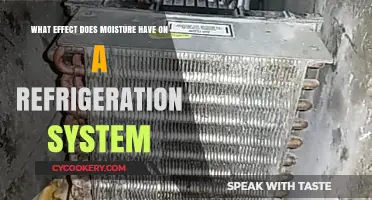 Moisture's Impact on Refrigeration Systems: Efficiency, Corrosion, and Performance Risks