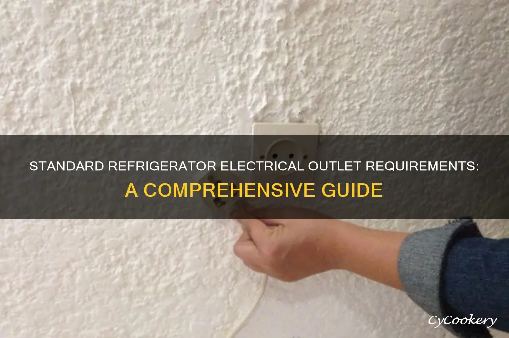 what electrical outlet used for standard refrigerator