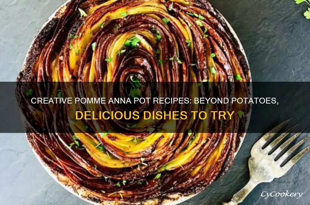 what else can you cook with pomme anna pot