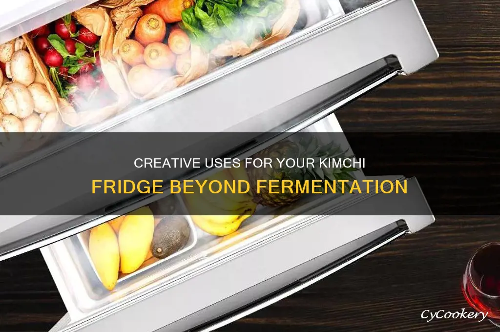what else can you do with a kimchi refrigerator