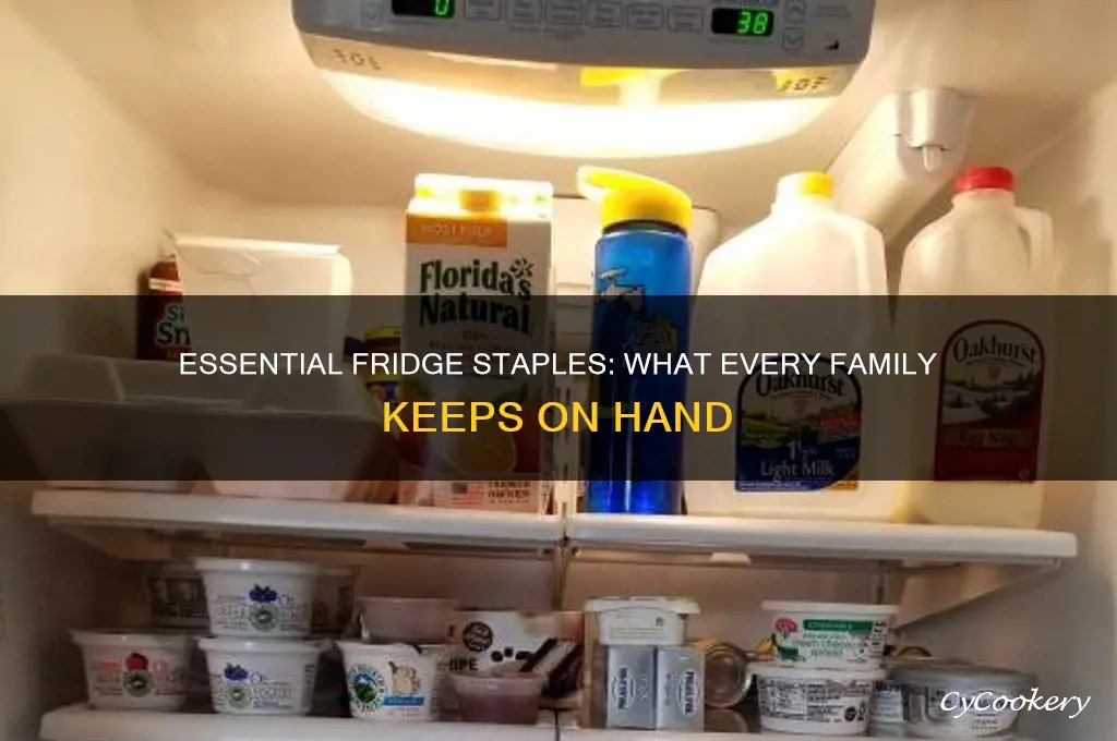 what every faimly has in the refrigerator