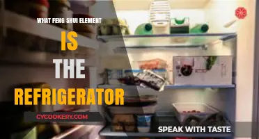 Feng Shui Insights: Discover Your Refrigerator's Elemental Energy