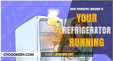 Is Your Fridge Speaking in Metaphors? Decoding Its Figurative Language