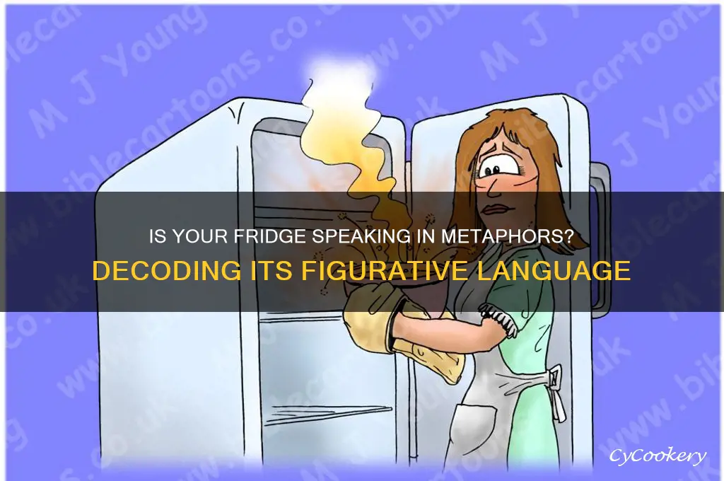 what figurative language is your refrigerator running