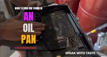 The Mystery of Oil Pan Fluids: What's Lurking Beneath?