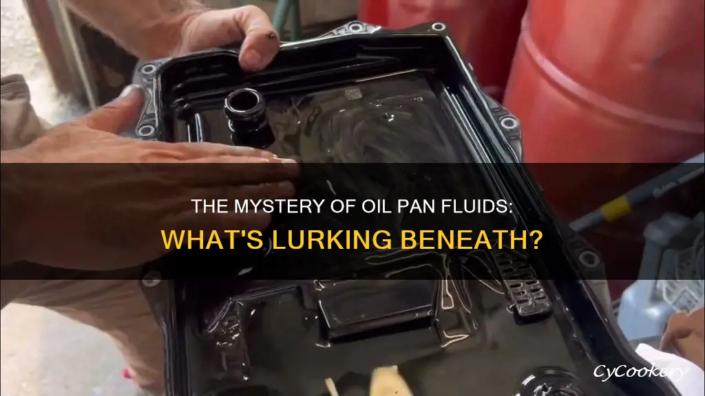 what fluids are found in an oil pan