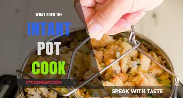 Instant Pot Magic: Discover What This Versatile Cooker Can Prepare