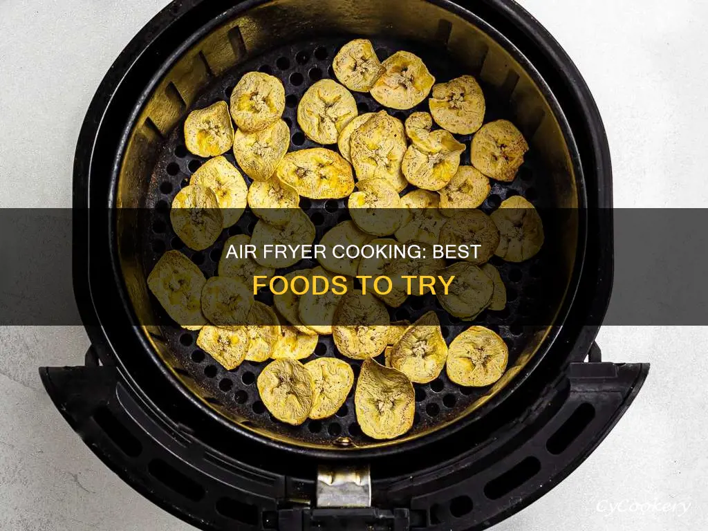 what food to make in air fryer