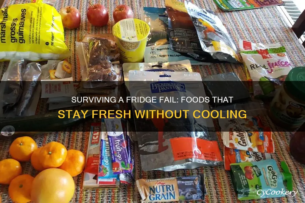 what foods are unaffected when refrigerator fails