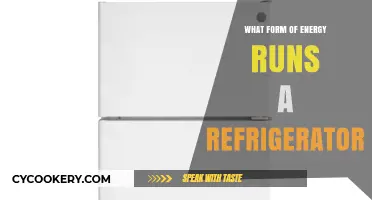 How Does a Refrigerator Work? Exploring Its Primary Energy Source