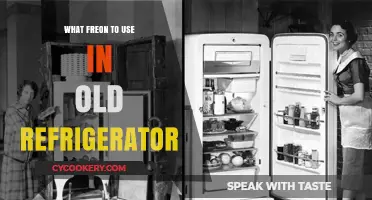 Choosing the Right Freon for Your Vintage Refrigerator: A Guide