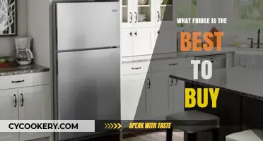 Top Fridge Picks: Best Models to Buy for Your Kitchen