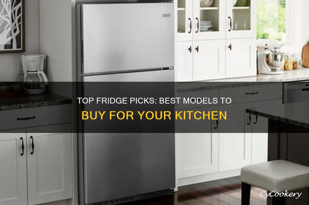 what fridge is the best to buy