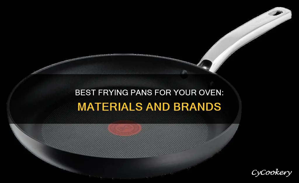 what frying pans can go in the oven