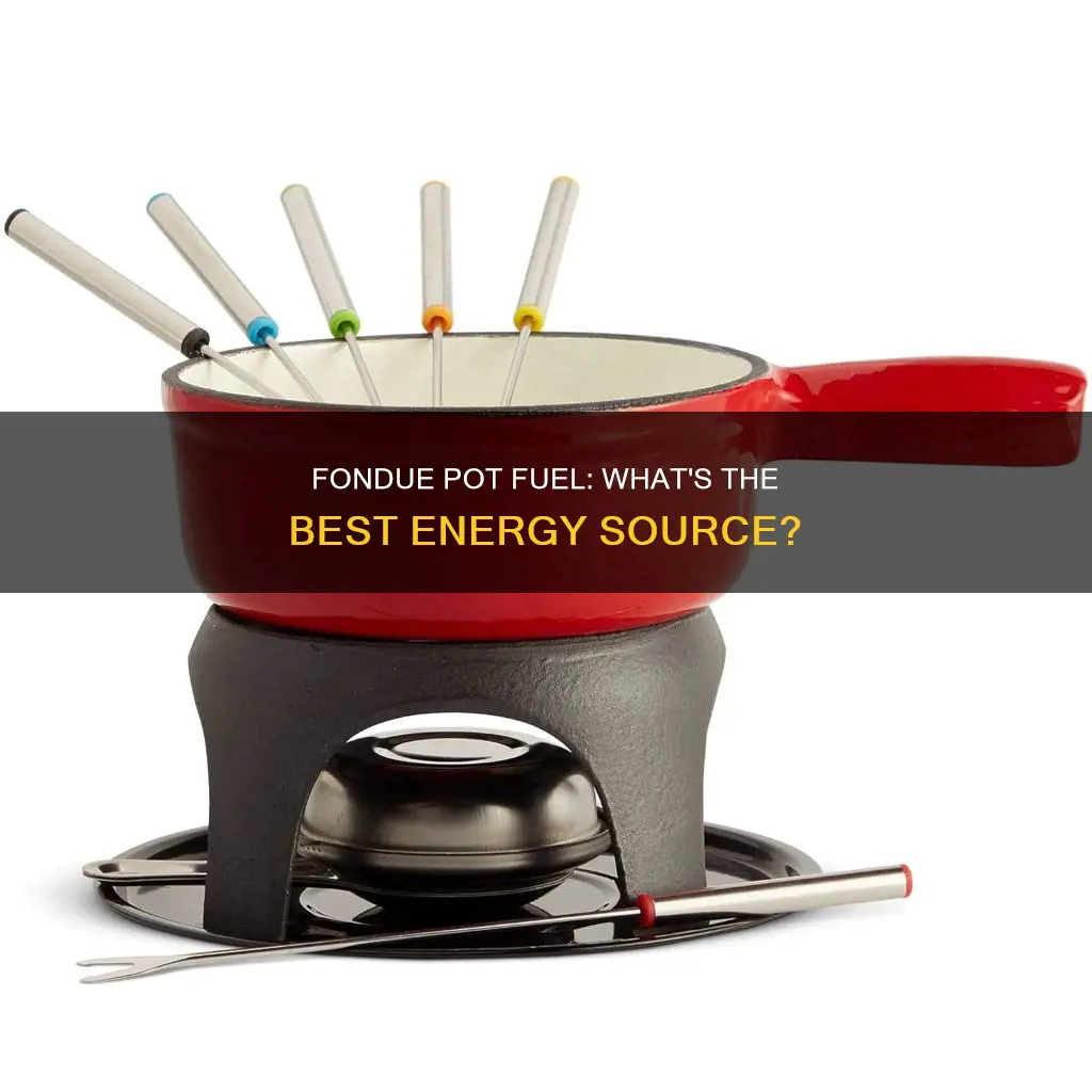 what fuel does my fondue pot use