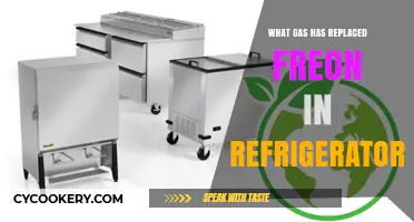 Eco-Friendly Alternatives: What Gas Has Replaced Freon in Refrigerators?