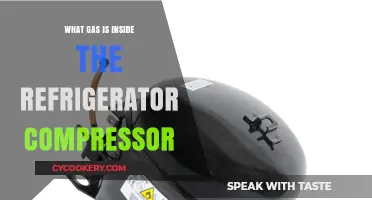 What Gas Powers Your Fridge? Inside the Compressor's Cooling Secret