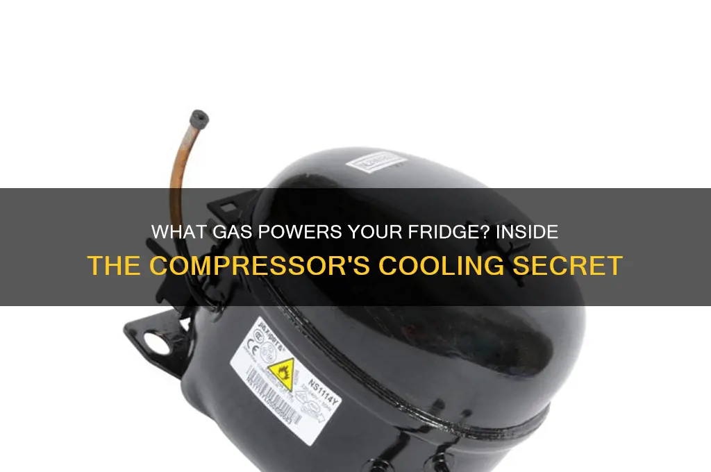 what gas is inside the refrigerator compressor