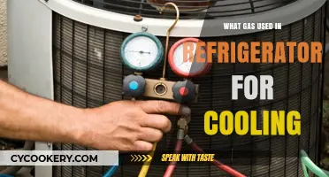 Understanding the Refrigerant Gases That Keep Your Fridge Cool and Efficient