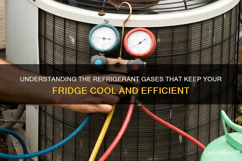 what gas used in refrigerator for cooling
