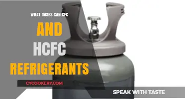 CFC and HCFC Refrigerants: Gases They Contain and Environmental Impact