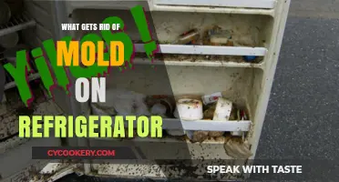 Effective Ways to Eliminate Mold from Your Refrigerator Quickly