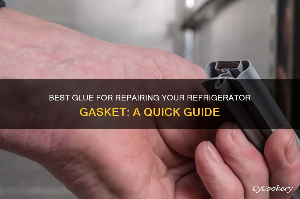 what glue to use on refrigerator gasket