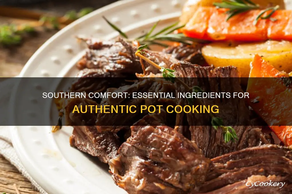 what goes in a pot in southern cooking