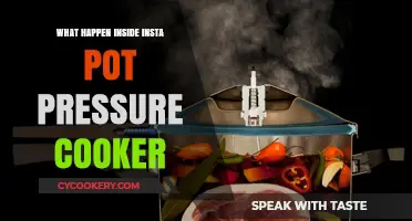 Inside the Insta Pot: How Pressure Cooking Works