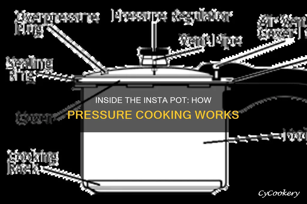 what happen inside insta pot pressure cooker