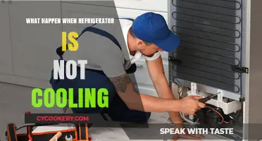Why Your Refrigerator Isn't Cooling and How to Fix It Fast