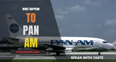 Pan Am's Legacy: From Glory to Bankruptcy