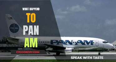 The Rise and Fall of Pan Am