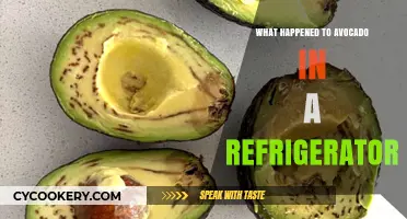 Why Avocados Turn Brown: Refrigeration Effects Explained